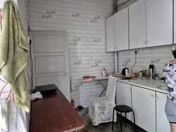 Botanic Gardens Mansion (D10), Apartment #593676721